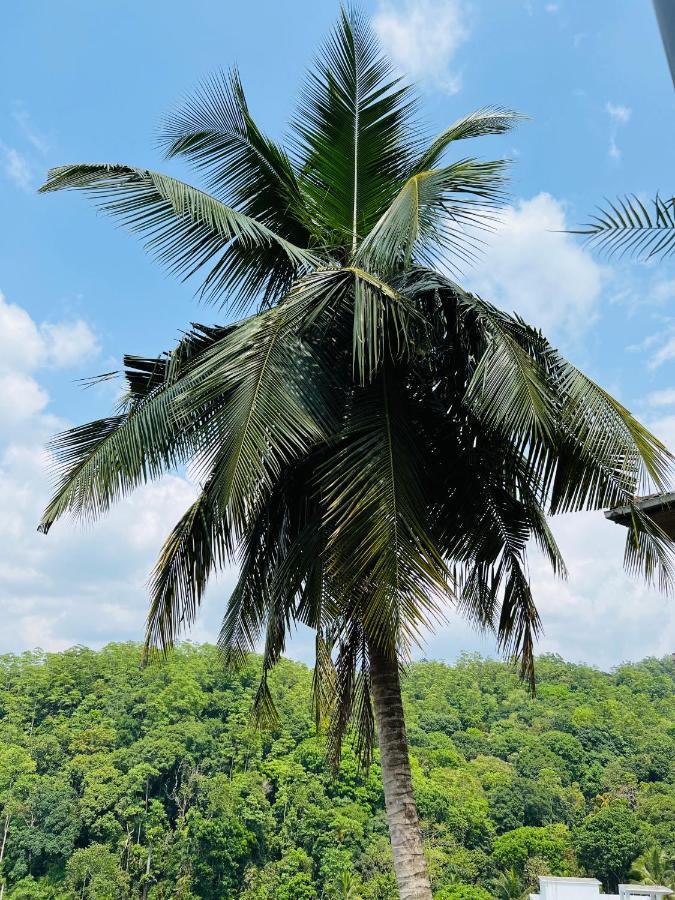 Hansons Homestay Kandy Kültér fotó
